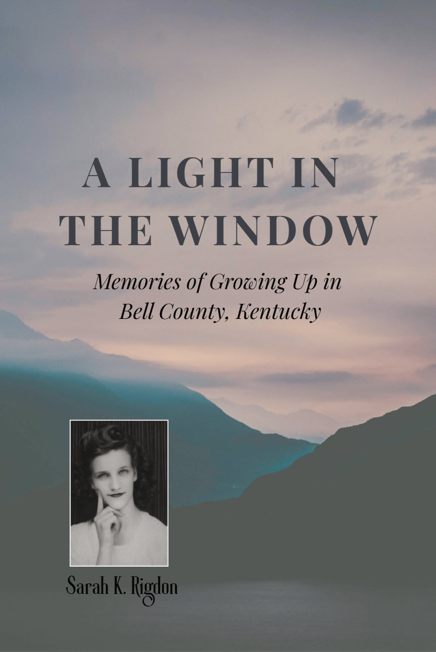 A Light in the Window book cover