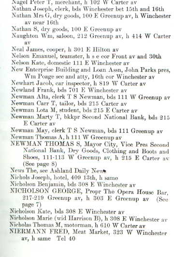 ashn1.jpg (25210 bytes)