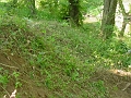 DSC00168_cleared_east_abutment_of_bidge_2