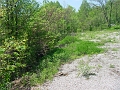 trail_west_of_rt_174_at_rt_60_10