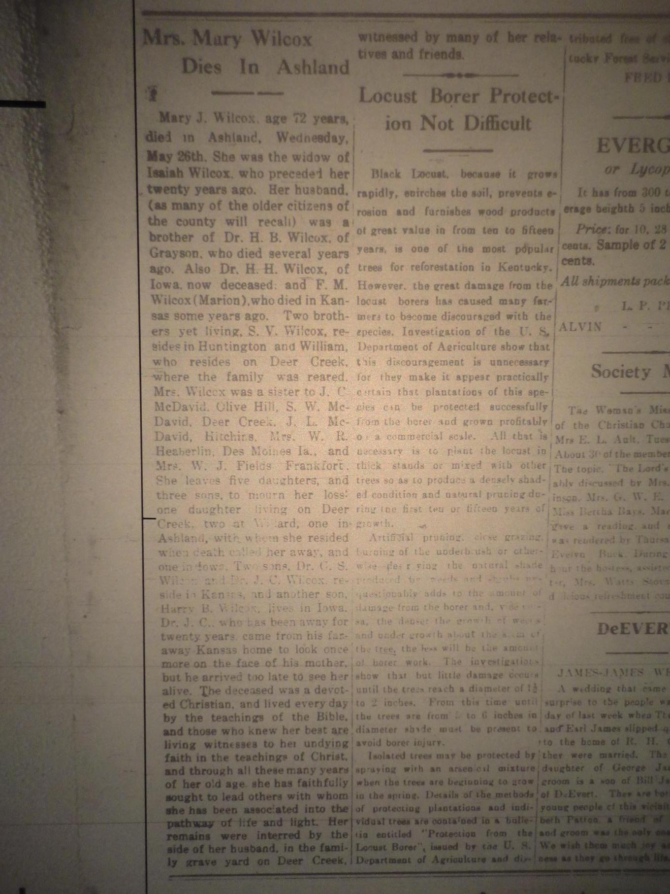 Transformed_Transformed_DSC04977