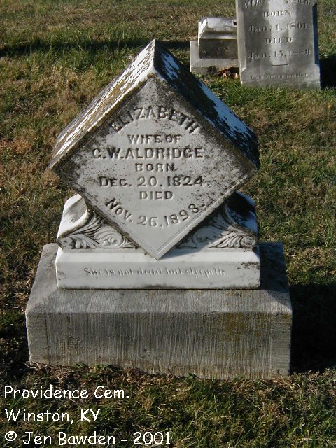 Elizabeth (Rainey) Moore Aldridge - Headstone