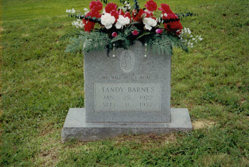 Tandy Barnes