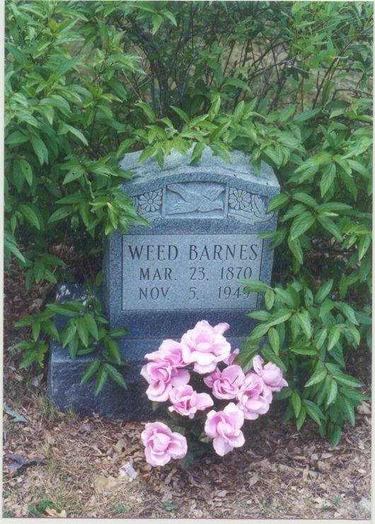 Weed Barnes, s/o Speed Barnes and Margaret Johnson, married to Sally Ann Tipton.