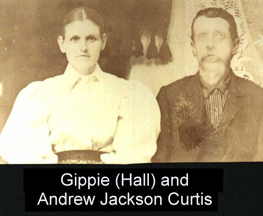 Andrew Jackson & Gippie (Hall) Curtis