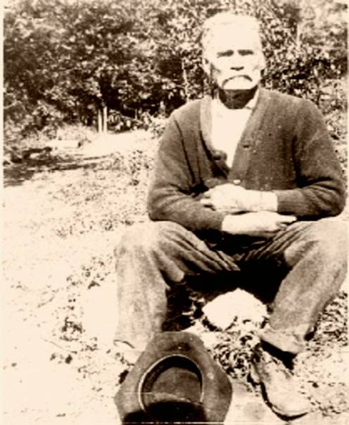 James Madison Curtis