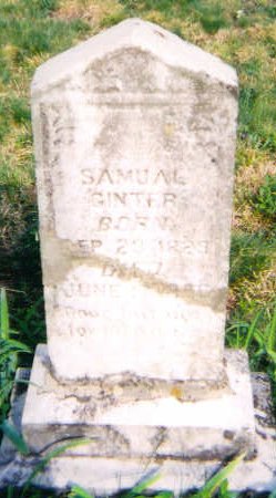 Samuel Ginter