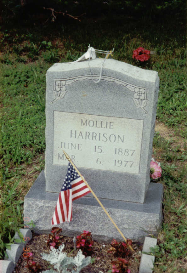 Mollie Harrison