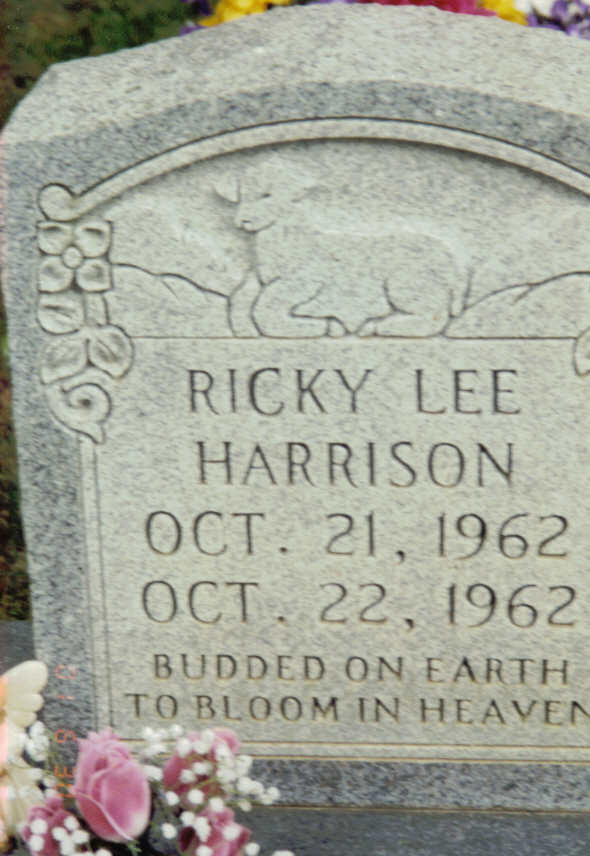 Ricky Lee Harrison