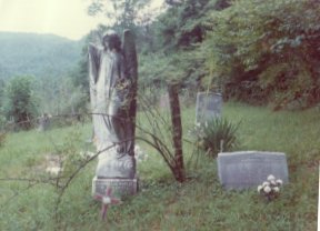 Nannie Lee Howell
