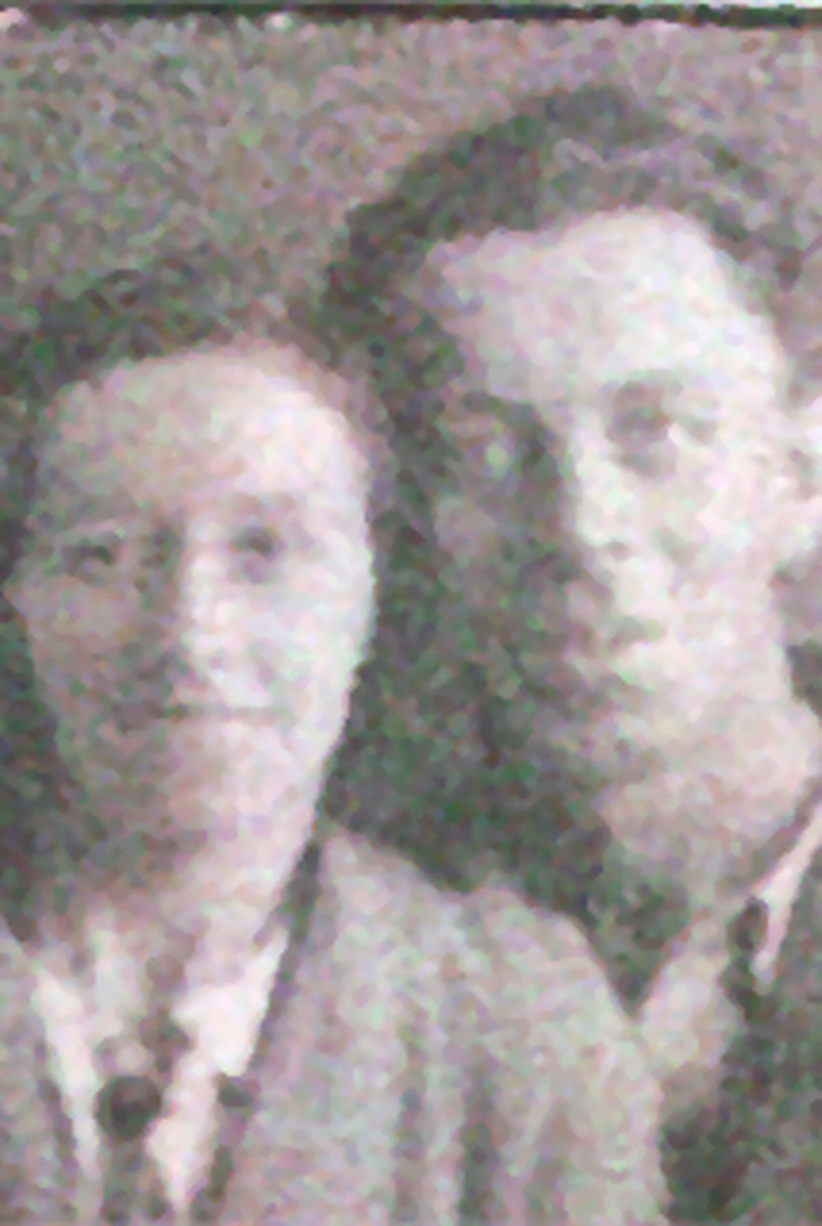 Charles and Cora King Lunsford. They married in 1924.