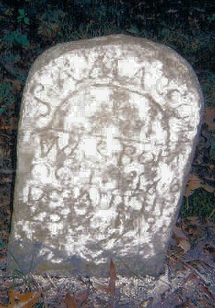 S. A. Marcum