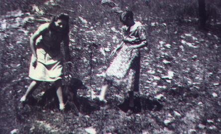 Ila Mae Townsend and Amanda (Stewart) Townsend