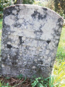 William V. Tuttle