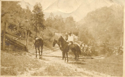 Photograph