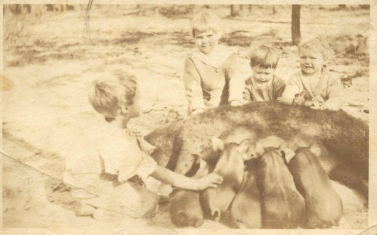 Photograph