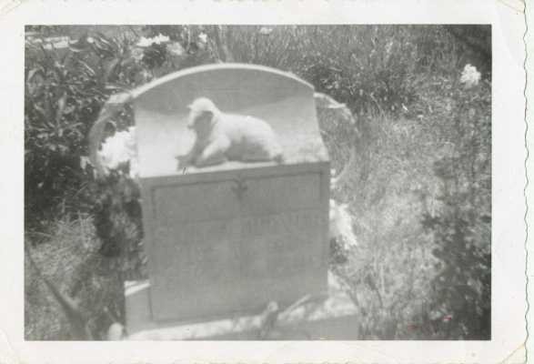 Sarah (Horn) Durbin Walters Hoover tombstone
