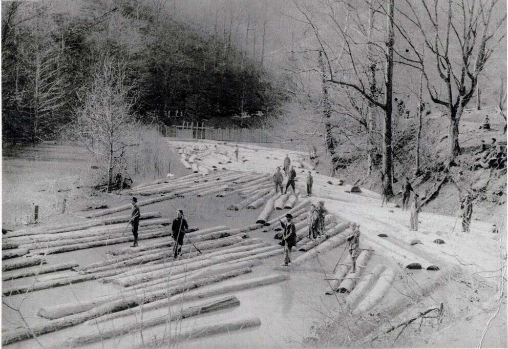 left-beaver-logs-small