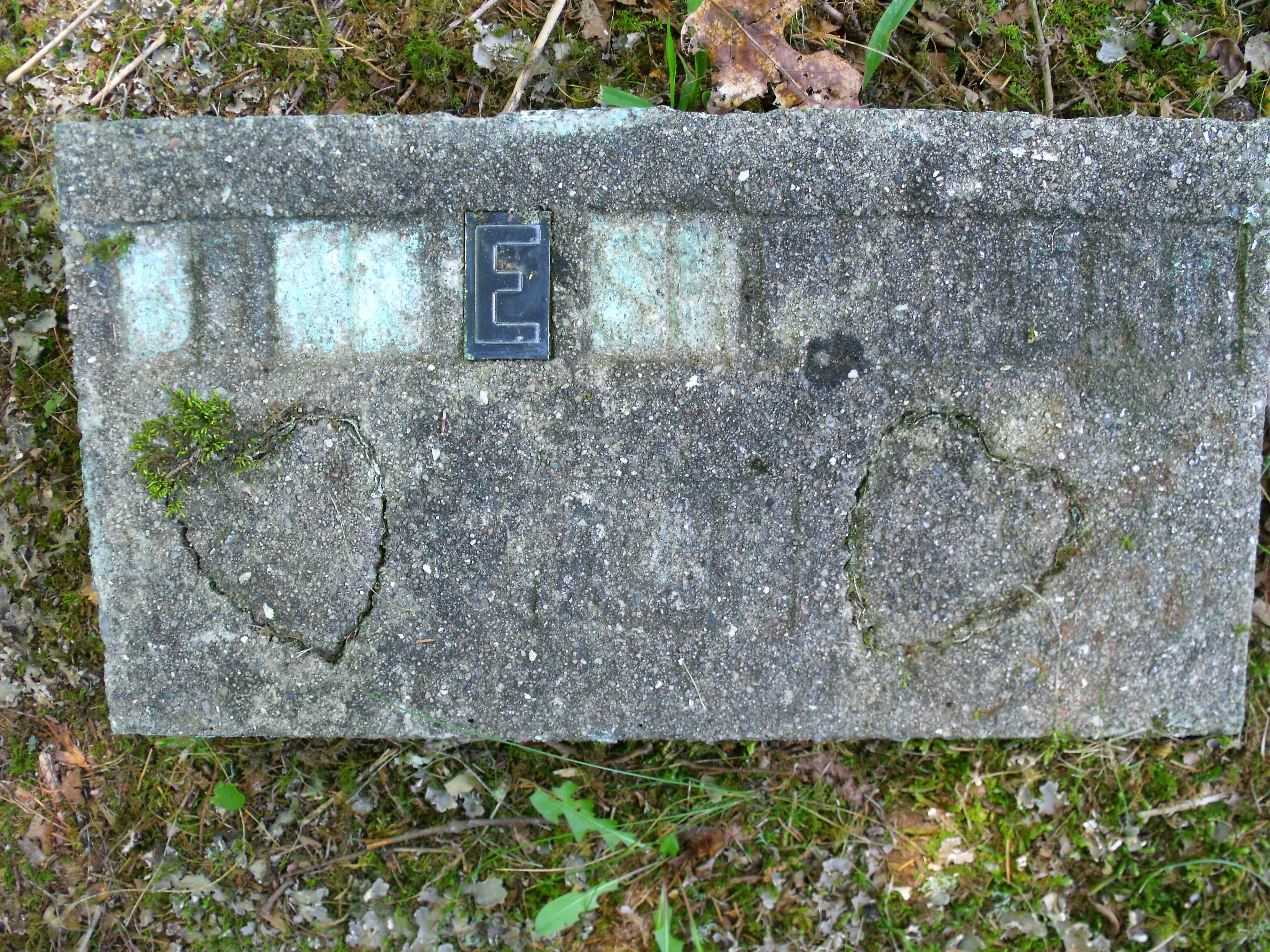 bonnie-shepherd.jpg (2501206 bytes)