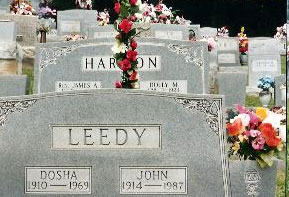 leedy-dosha-john_small