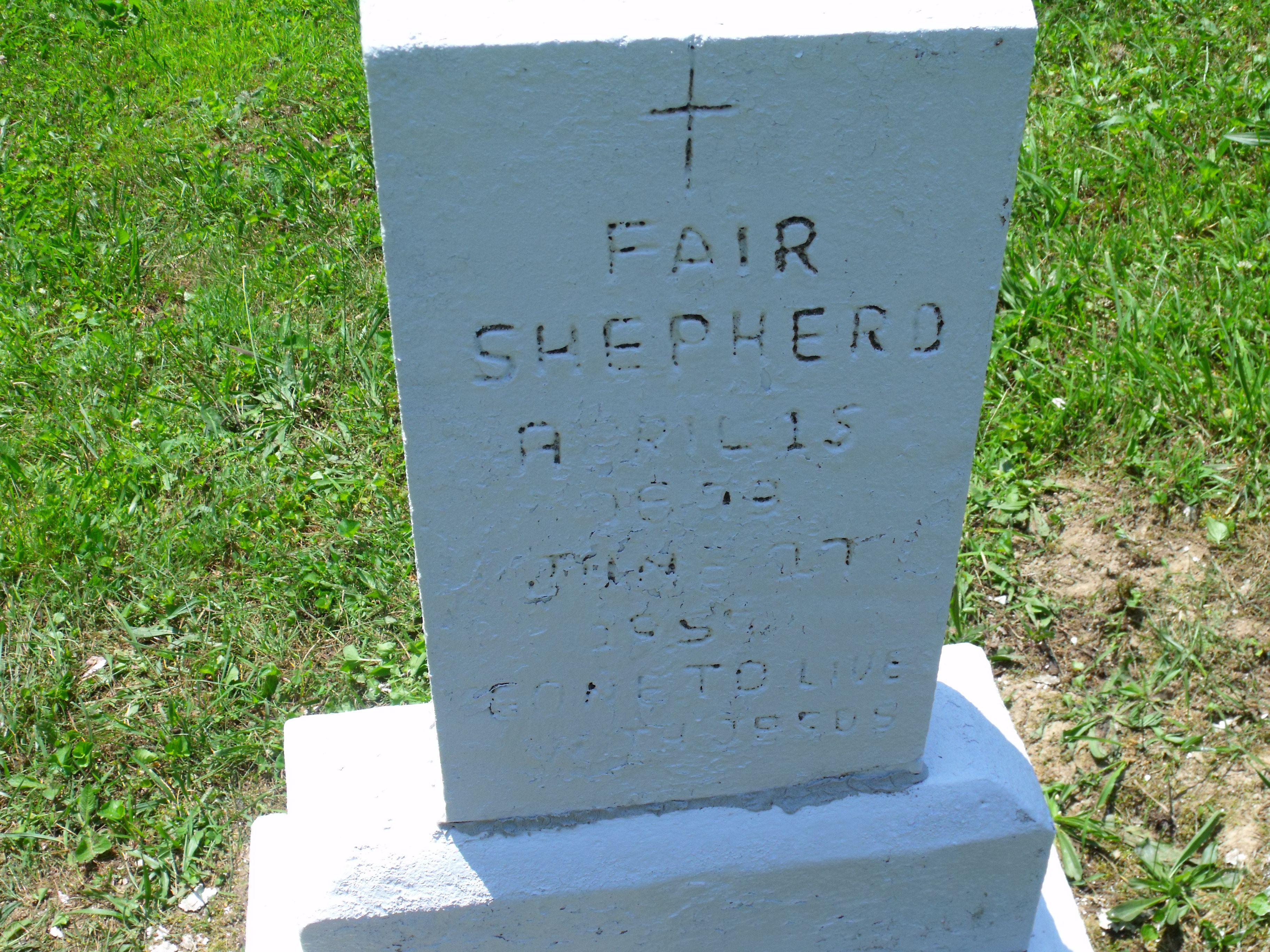 fair-shepherd.jpg (2550670 bytes)