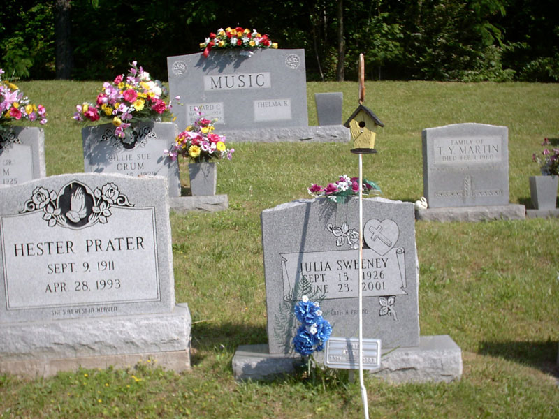 julia-sweeney-hs_small