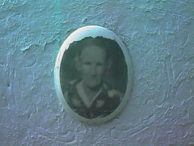 polly-martin-hsp.jpg (50823 bytes)