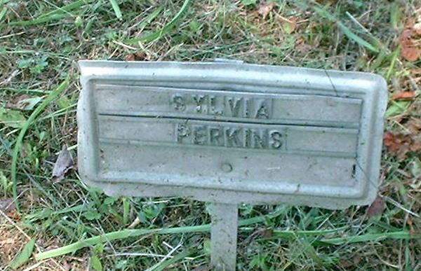 sylvia-perkins