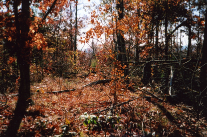 End of road to burying ground
