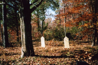 Henry Johnston & A.N. Davis tombstones