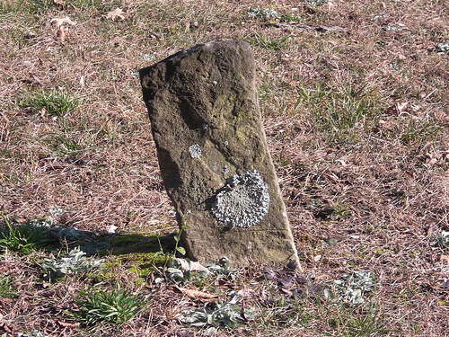 Blank Tombstone Mud River Cemetery