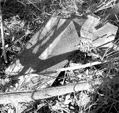 South Carrollton Cemetery