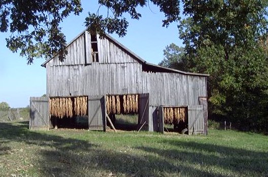 Tobacco Barn On The Old Tooke Farm